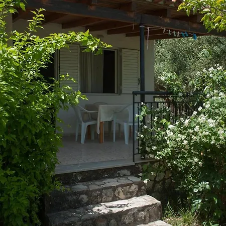 Nelki House Koróni